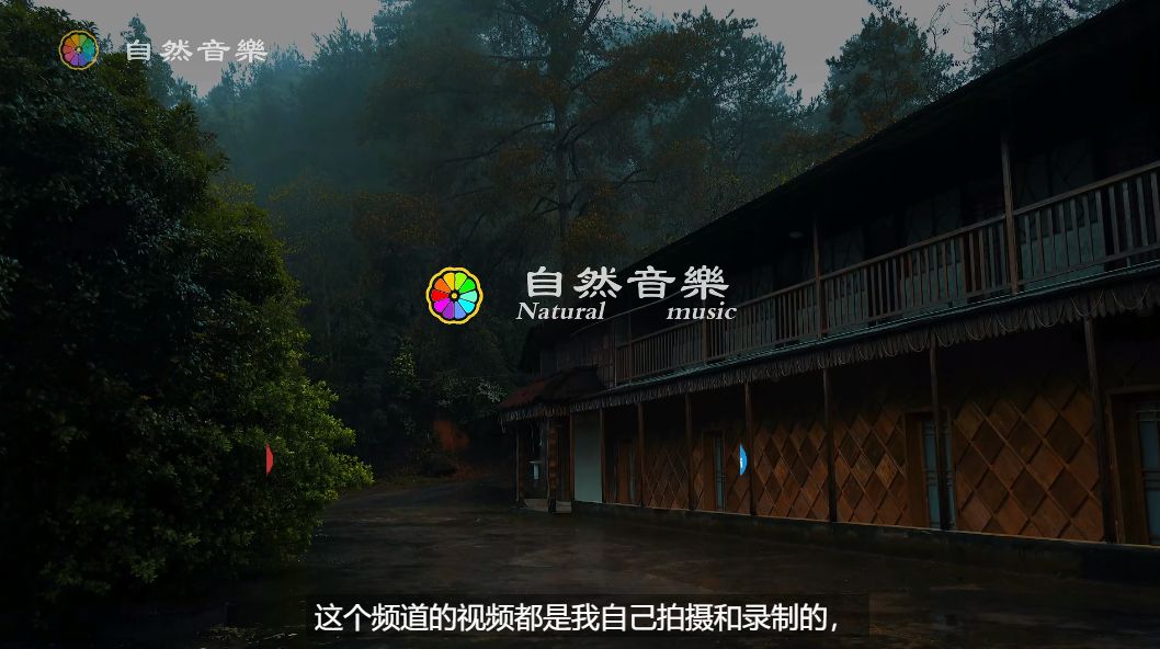 倾听铁皮屋上的纯净雨声，助你在5分钟内入睡，摆脱失眠，体验身心放松，真实的自然白噪音。